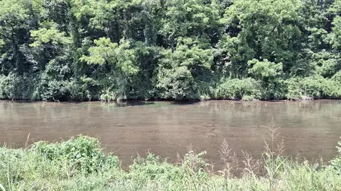 lot5 Bayside Dr, Sylva, NC 28779 photo 4
