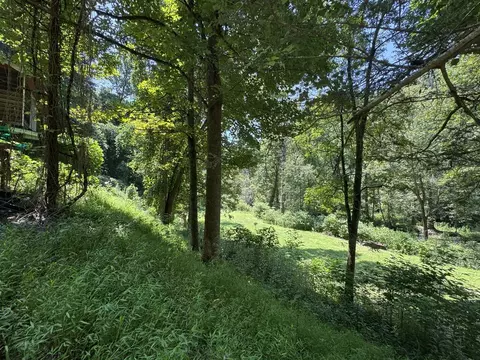 7030 Caney Fork Rd, Cullowhee, NC 28723 photo 15