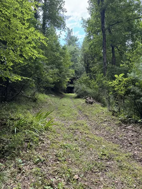 7030 Caney Fork Rd, Cullowhee, NC 28723 photo 12