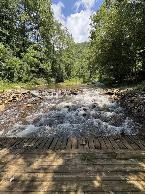 7030 Caney Fork Rd, Cullowhee, NC 28723 photo 6