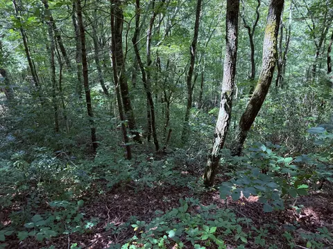 tbd Highlands Gate Dr, Highlands, NC 28741 photo 6