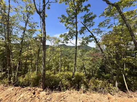 00 Shiners Rdg, Bryson City, NC 28702