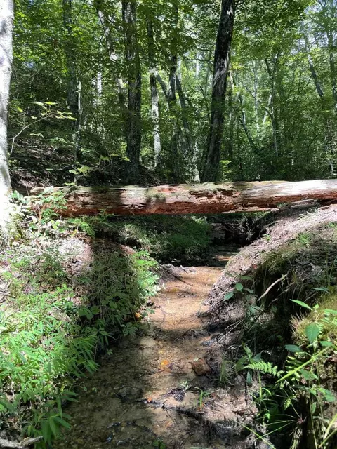 Other - 266 Springbrook Dr, Franklin, NC 28734 photo 3 of 6