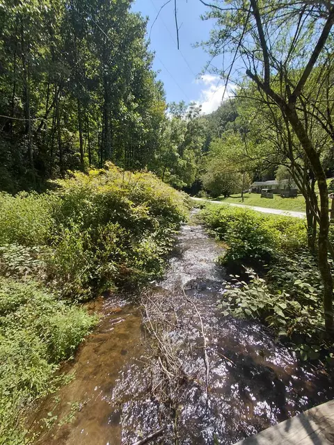1600 Coopers Creek Rd, Bryson City, NC 28713