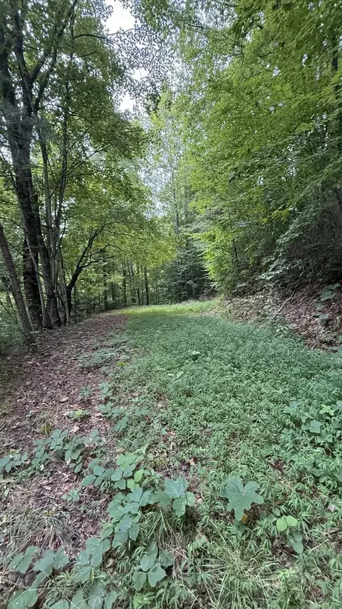 lot73 Fox Run Rdg, Bryson City, NC 28713
