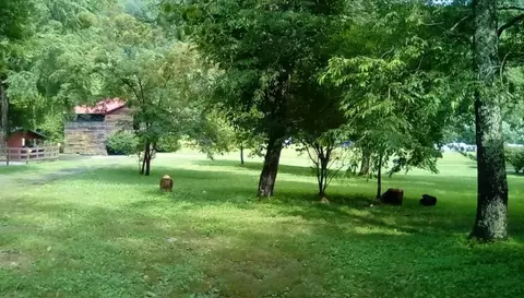 Exterior - 43 Wild Horse Rd, Sylva, NC 28779 photo 8 of 14