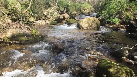 Other - 43 Wild Horse Rd, Sylva, NC 28779 photo 4 of 4