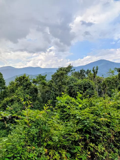 3 Forest Drive, Maggie Valley, NC 28751