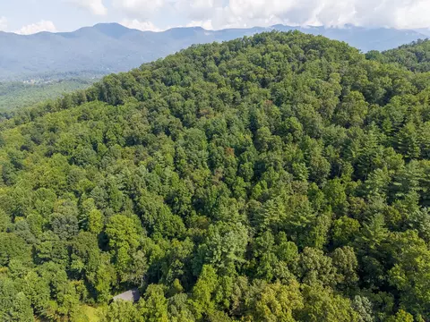 View/Area - 351 Browning Rd, Sylva, NC 28779 photo 5 of 12