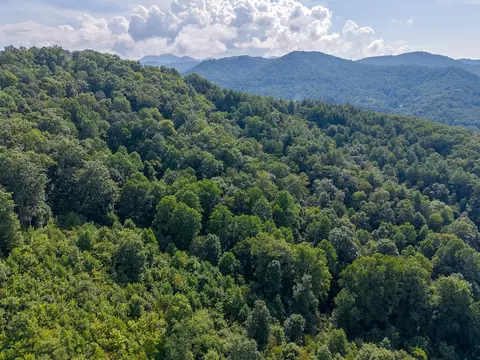 View/Area - 351 Browning Rd, Sylva, NC 28779 photo 8 of 12