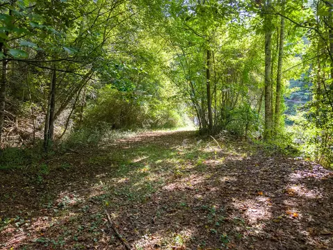 Exterior - 351 Browning Rd, Sylva, NC 28779 photo 3 of 16