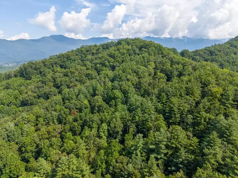View/Area - 351 Browning Rd, Sylva, NC 28779 photo 4 of 12