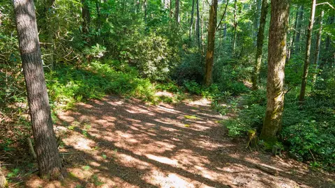 788 Rainey Knobs Rd, Other, NC 28774 photo 2
