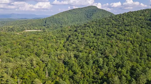 788 Rainey Knobs Rd, Other, NC 28774 photo 21