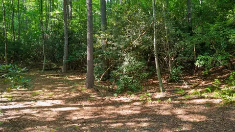 788 Rainey Knobs Rd, Other, NC 28774 photo 7