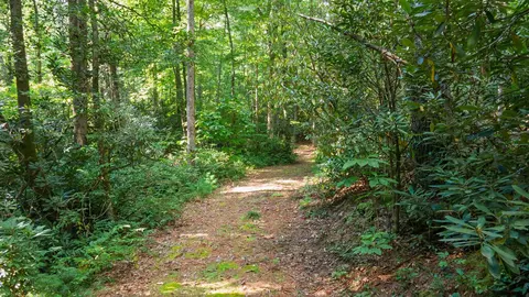 788 Rainey Knobs Rd, Other, NC 28774 photo 11