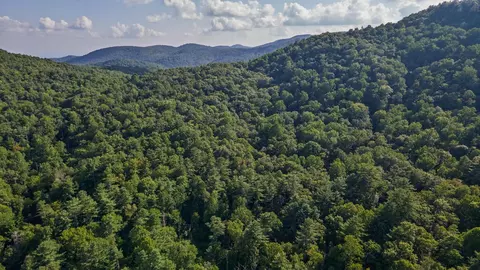 788 Rainey Knobs Rd, Other, NC 28774 photo 19