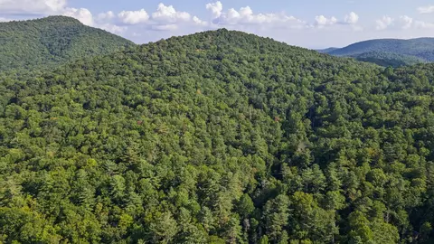 788 Rainey Knobs Rd, Other, NC 28774 photo 20