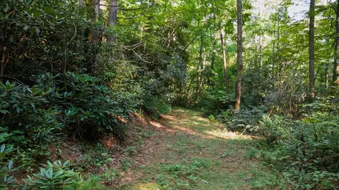 788 Rainey Knobs Rd, Other, NC 28774 photo 12