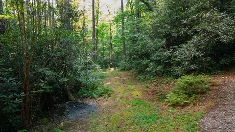788 Rainey Knobs Rd, Other, NC 28774 photo 16