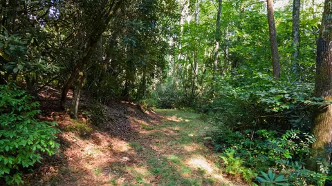 788 Rainey Knobs Rd, Other, NC 28774 photo 13