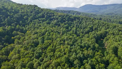 788 Rainey Knobs Rd, Other, NC 28774 photo 17