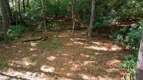 788 Rainey Knobs Rd, Other, NC 28774 photo 4