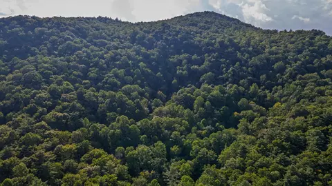 788 Rainey Knobs Rd, Other, NC 28774 photo 18