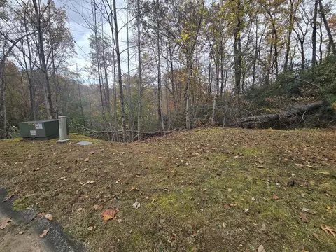 0 Shining Rock Path, Other, NC 28742