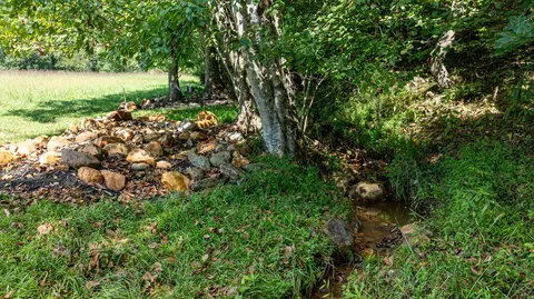 lot2 Stonebrook Farm, Franklin, NC 28734 photo 9