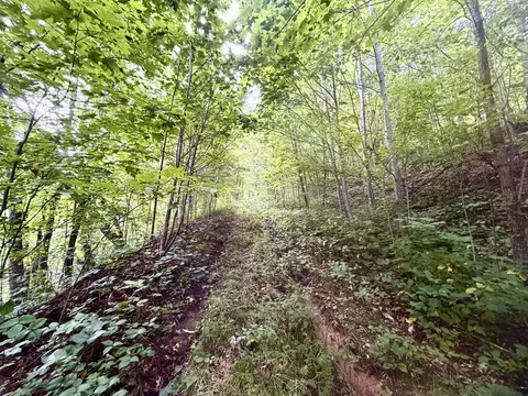 tbd Ned Cove Rd, Waynesville, NC 28785