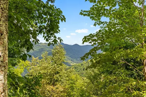 Other - 3570 Crabtree Mountain Rd, Clyde, NC 28721 photo 11 of 11