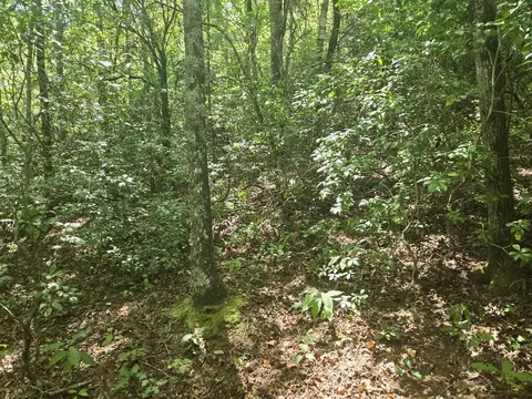 000 Sugar Fork Rd, Sylva, NC 28779 photo 13