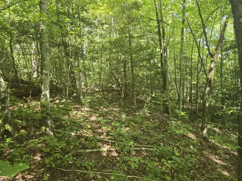 000 Sugar Fork Rd, Sylva, NC 28779 photo 14