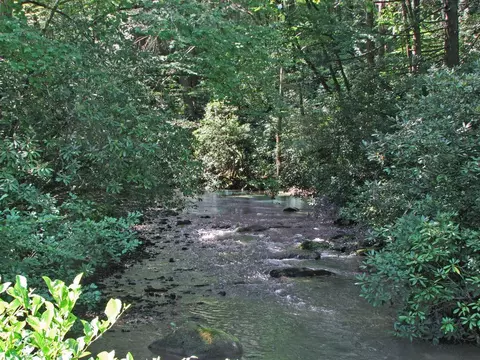lot8 Snowbird Woods Rd, Robbinsville, NC 28771