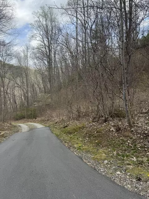 1 E Wabash Dr, Sylva, NC 28779 photo 5