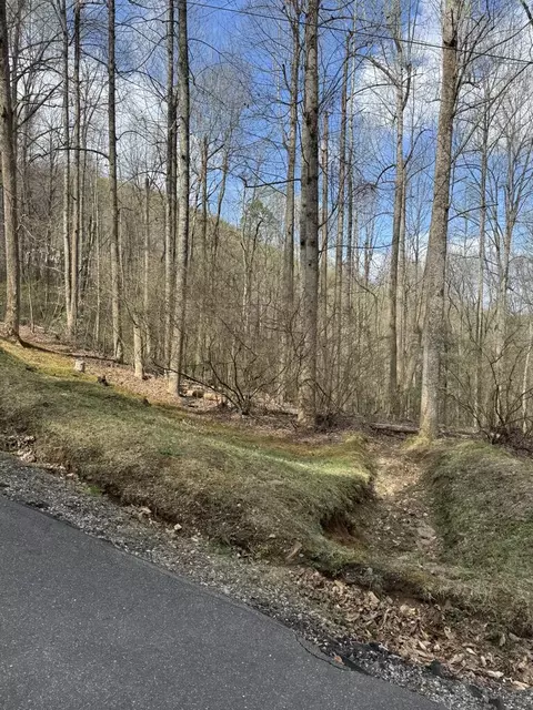 1 E Wabash Dr, Sylva, NC 28779 photo 19