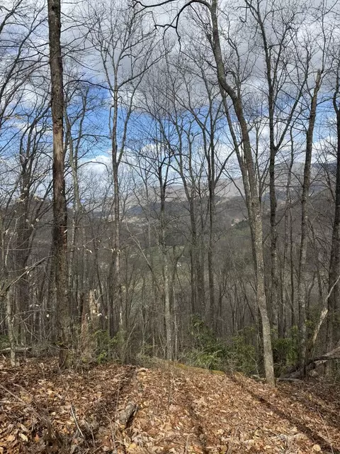 1 E Wabash Dr, Sylva, NC 28779 photo 15