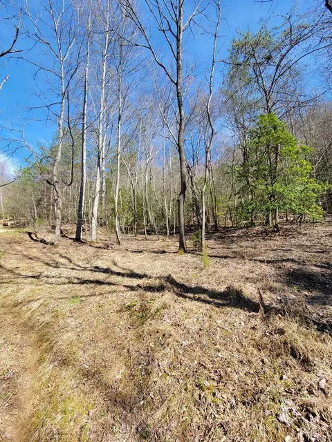 00 Watson Cove Rd, Franklin, NC 28734