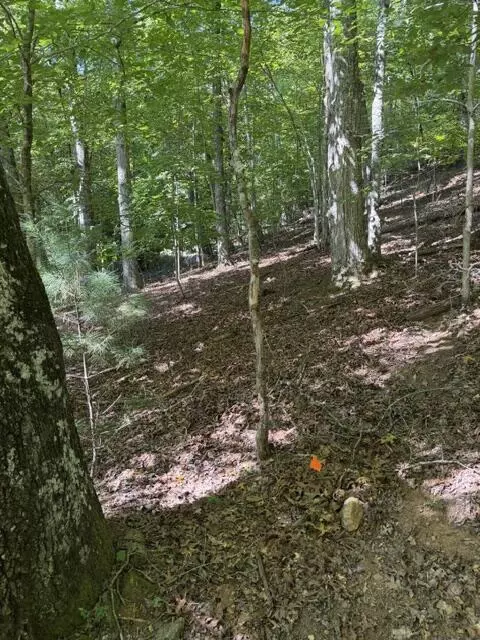 0 Centre Farms Rd, Franklin, NC 28734