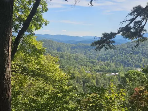 View/Area - 607 Echo High Rd, Franklin, NC 28734 photo 2 of 3