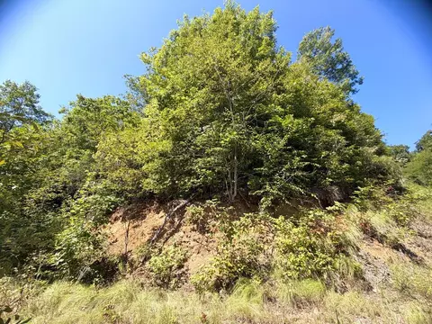 lot67 Longview Rdg, Sylva, NC 28779 photo 8