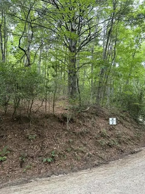 Other - 0 Tract 2 Coman Rd, Franklin, NC 28734 photo 8 of 10