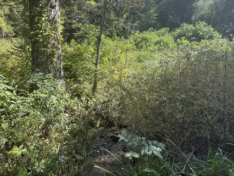 Other - 2794 E Fork Rd, Sylva, NC 28779 photo 2 of 7