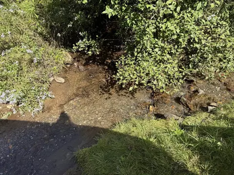 Other - 2794 E Fork Rd, Sylva, NC 28779 photo 7 of 7