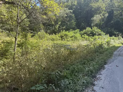 Other - 2794 E Fork Rd, Sylva, NC 28779 photo 3 of 7