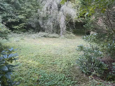 Exterior - 2794 E Fork Rd, Sylva, NC 28779 photo 8 of 12