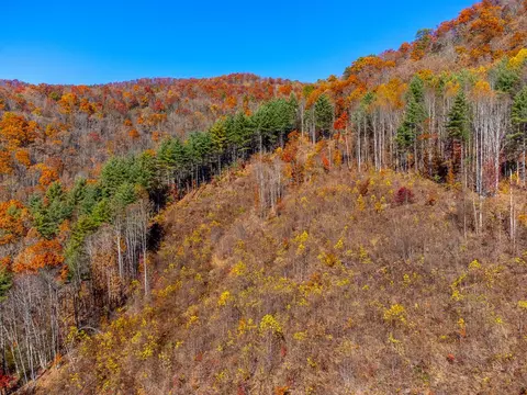 0 Greenway Rd, Sylva, NC 28771 photo 44