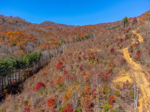 0 Greenway Rd, Sylva, NC 28771 photo 17