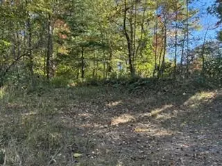 lot49 Elkhorn Ridge Dr, Franklin, NC 28734